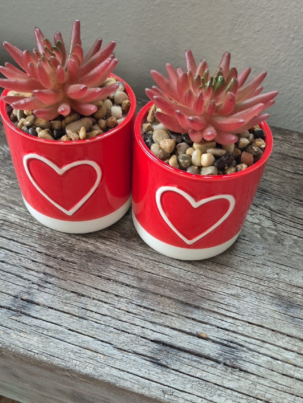 Red Heart Ceramic Vase Planters - Set of 2